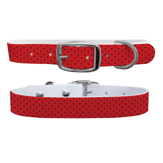 Georgia Team Spirit Polka Dot Dog Collar Dog Collar C4 BELTS