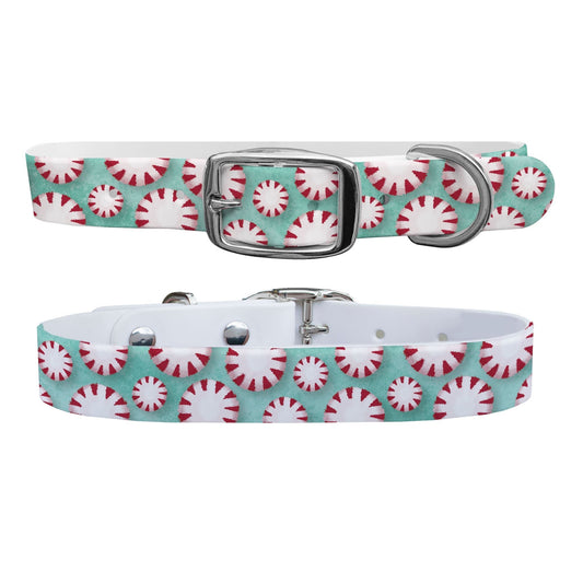 Mint To Be Dog Collar Dog Collar C4 BELTS
