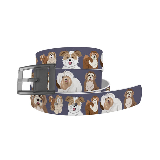 Havanese Belt Belt-Classic C4 BELTS