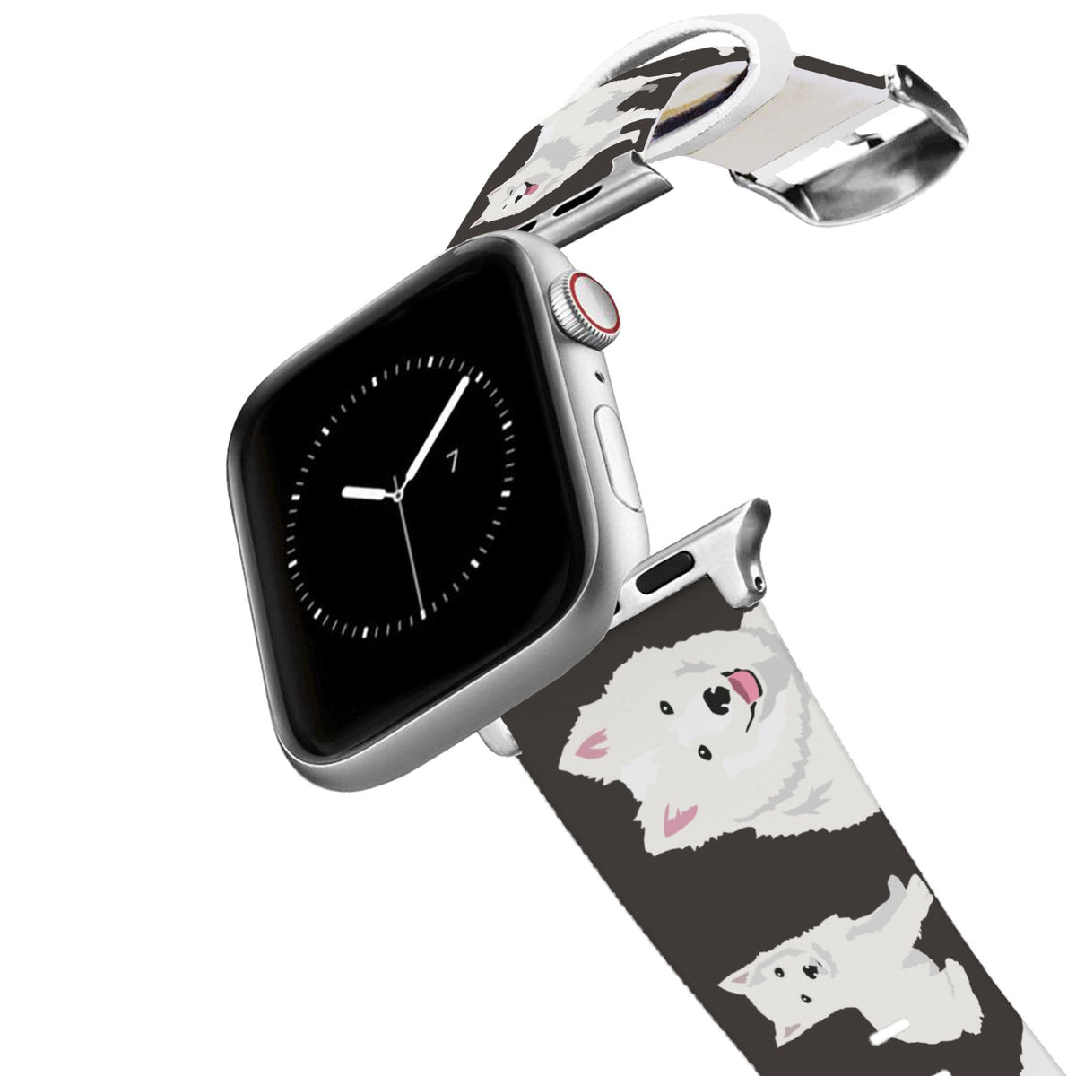 American Eskimo Dog Apple Watch Band C4