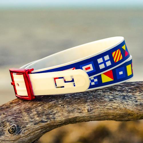 Marine Life Collection