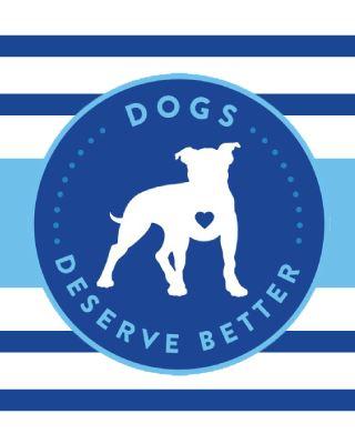 Dogs Deserve Better - Collars