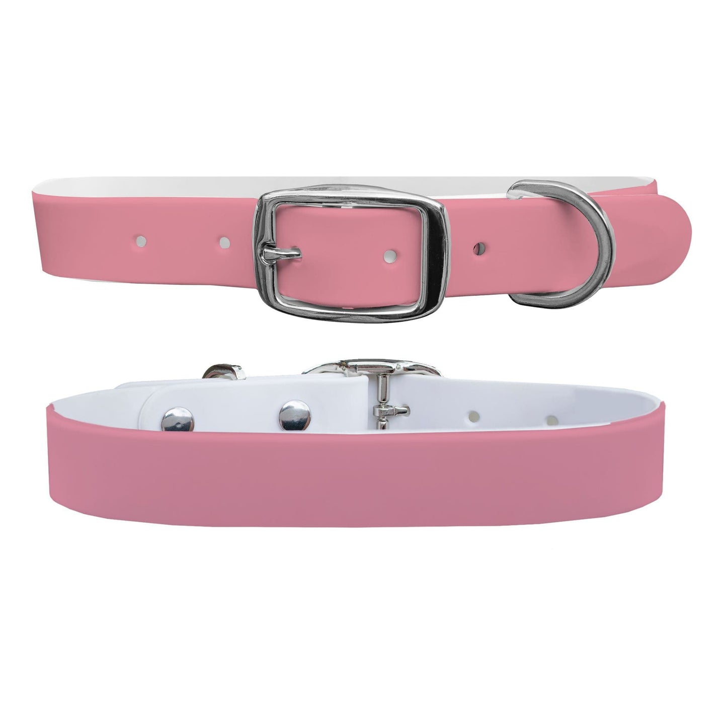 Rose Dog Collar Dog Collar C4 BELTS