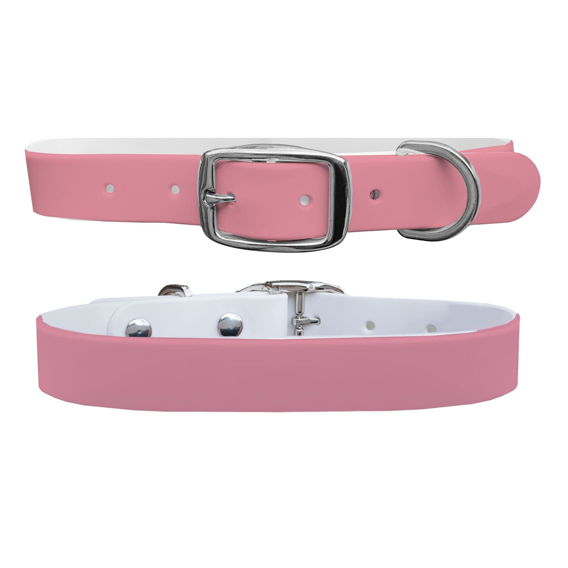 Rose Dog Collar Dog Collar C4 BELTS