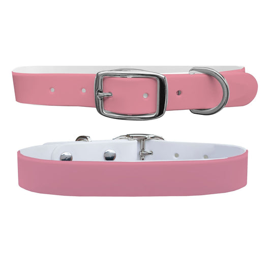 Rose Dog Collar Dog Collar C4 BELTS