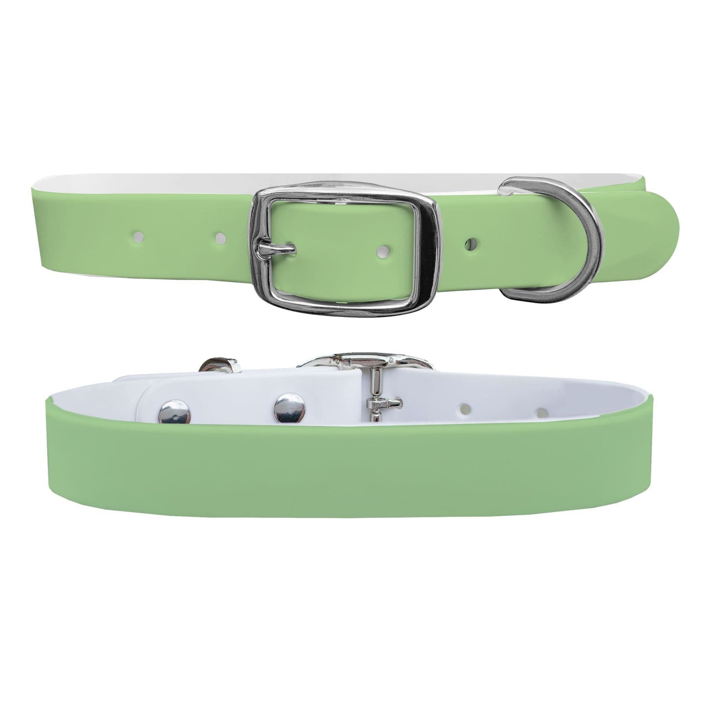 Sage Dog Collar Dog Collar C4 BELTS