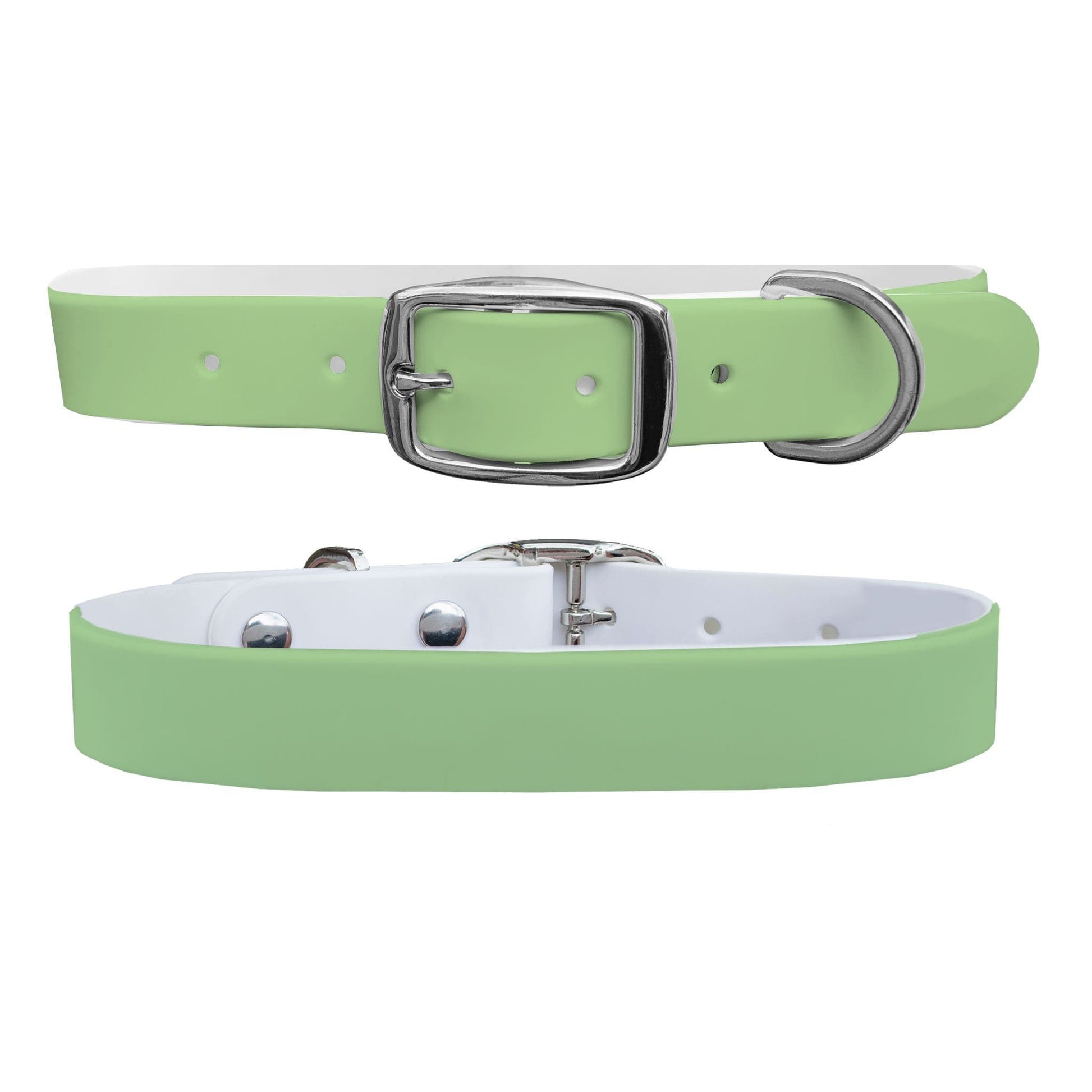Sage Dog Collar Dog Collar C4 BELTS