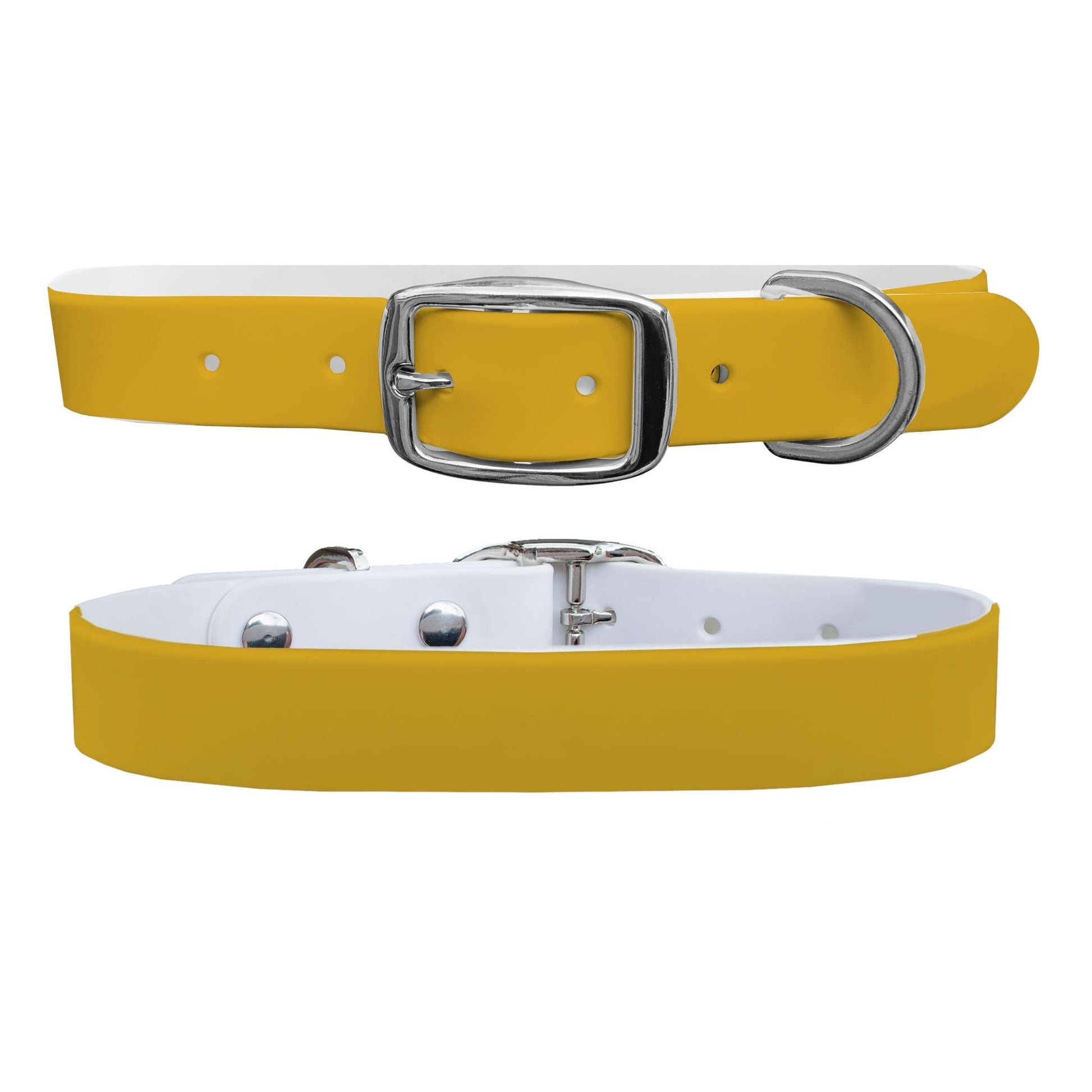 Canary Dog Collar Dog Collar C4 BELTS
