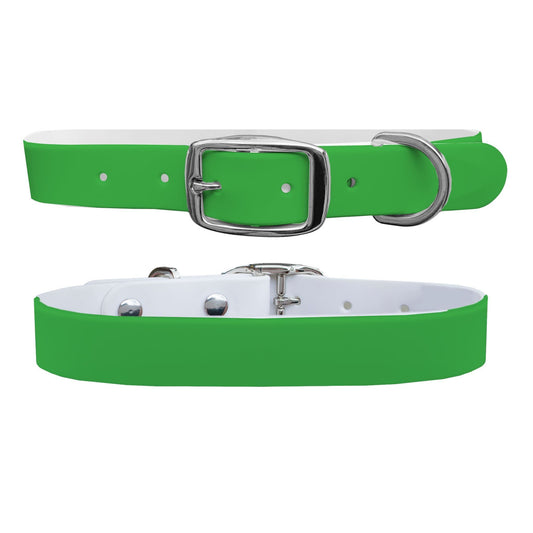 Green Dog Collar Dog Collar C4 BELTS