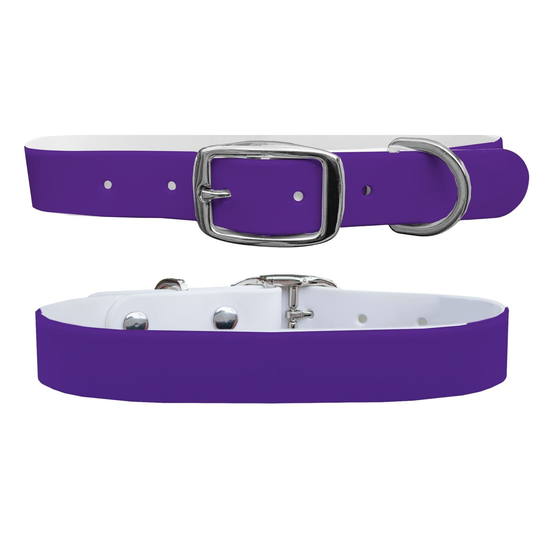 Plum Dog Collar Dog Collar C4 BELTS