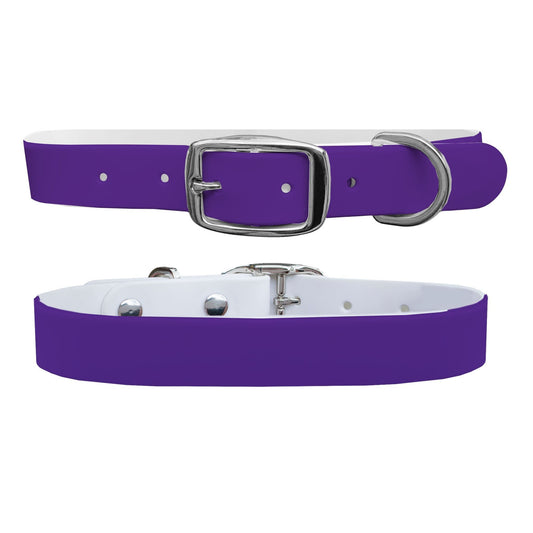 Plum Dog Collar Dog Collar C4 BELTS