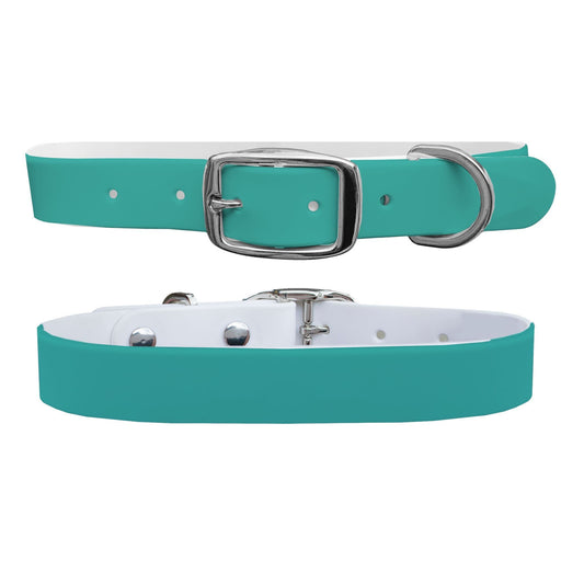 Turquoise Dog Collar Dog Collar C4 BELTS