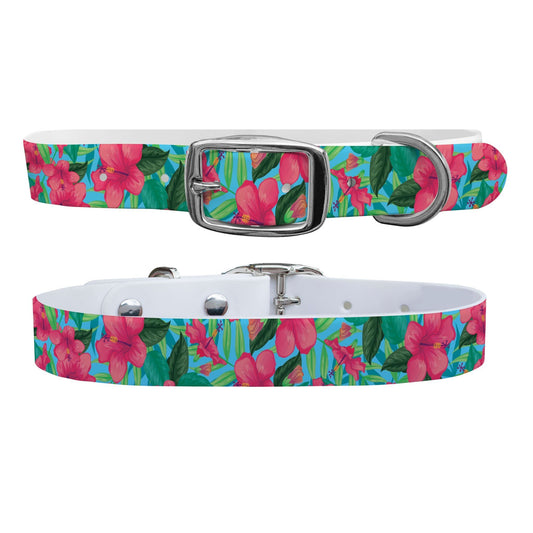 Aloha Dog Collar Dog Collar C4 BELTS