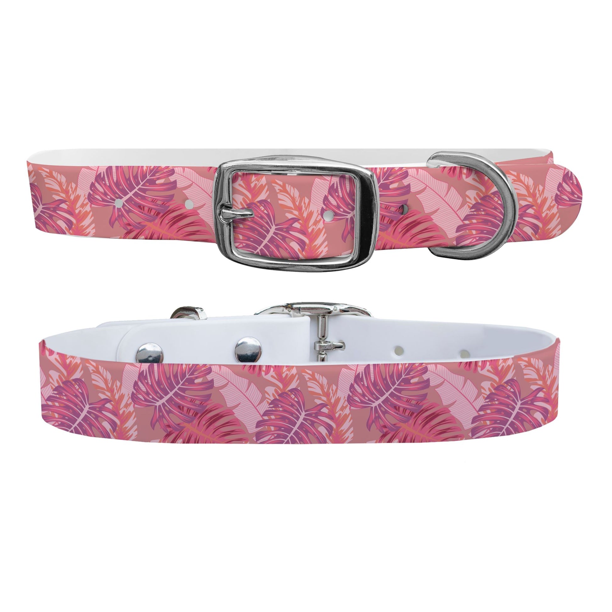 Cali Vibes Dog Collar Dog Collar C4 BELTS