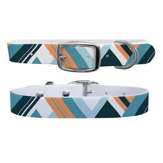 Color Blocked Cool Dog Collar Dog Collar C4 BELTS