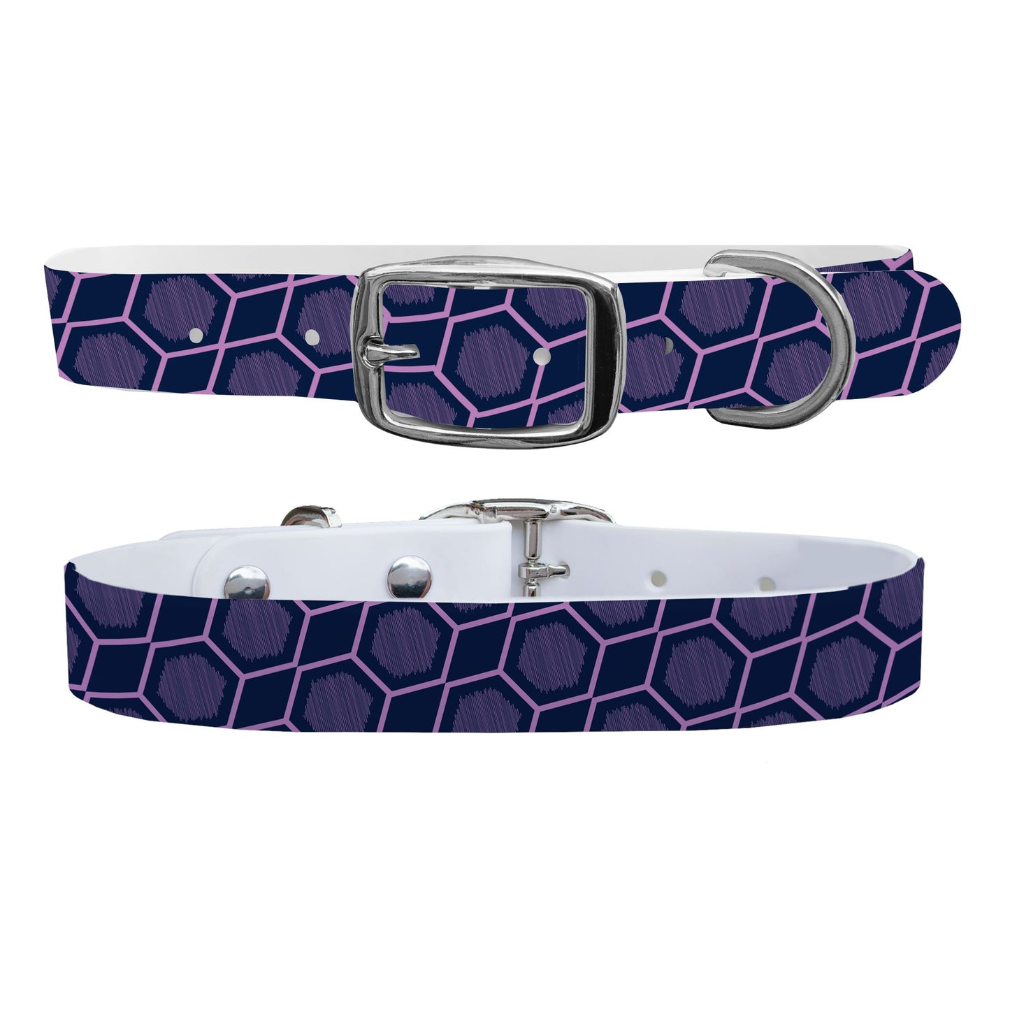 Evermore Dog Collar Dog Collar C4 BELTS