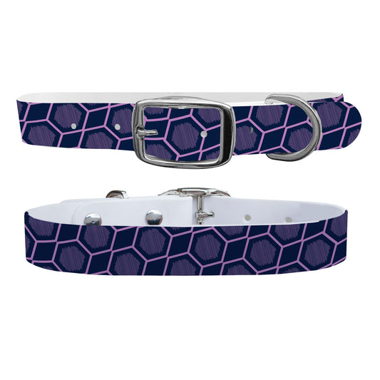 Evermore Dog Collar Dog Collar C4 BELTS