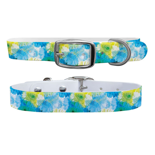 Flower Pop Dog Collar Dog Collar C4 BELTS