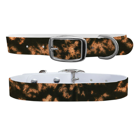 Hendrix Dog Collar Dog Collar C4 BELTS