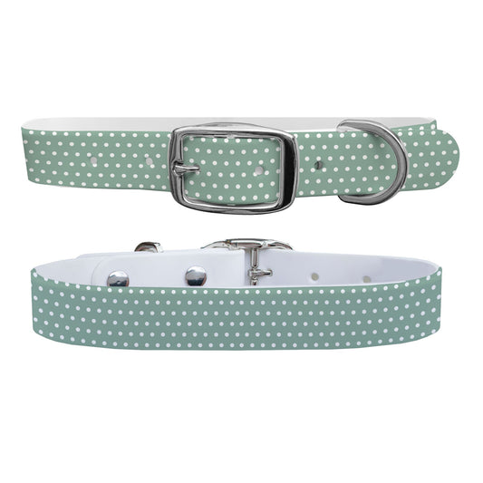 Mint Polka Dot Dog Collar Dog Collar C4 BELTS