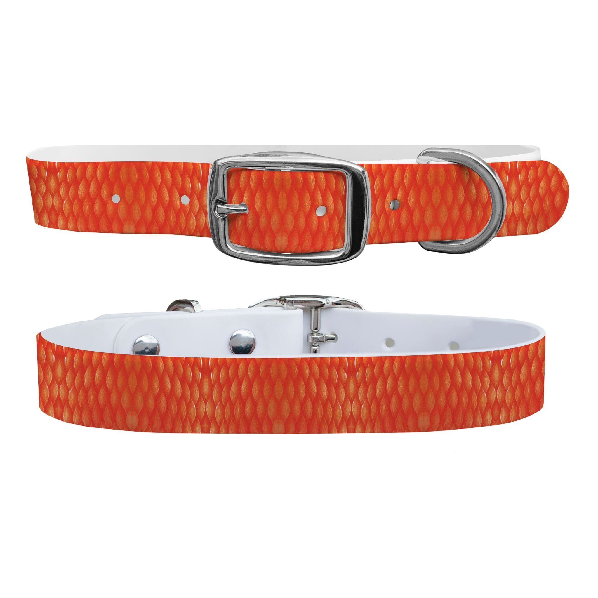 Red Snapper Scales Collar Dog Collar C4 BELTS
