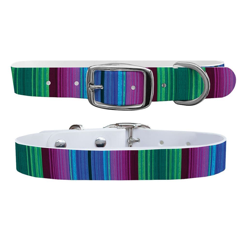 Serape Cool Dog Collar Dog Collar C4 BELTS