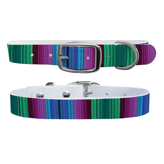 Serape Cool Dog Collar Dog Collar C4 BELTS