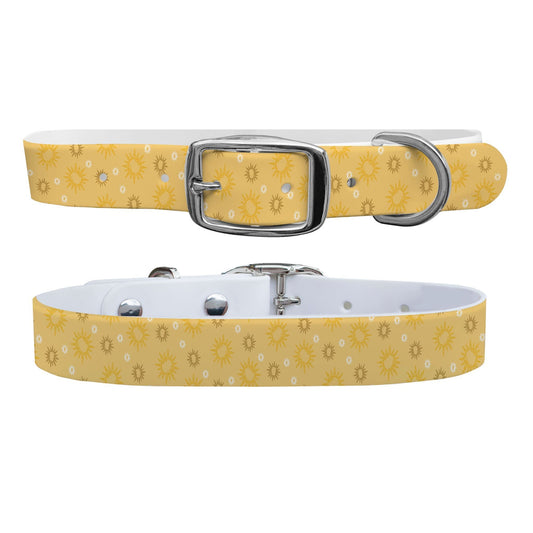 Sunlight Dog Collar Dog Collar C4 BELTS