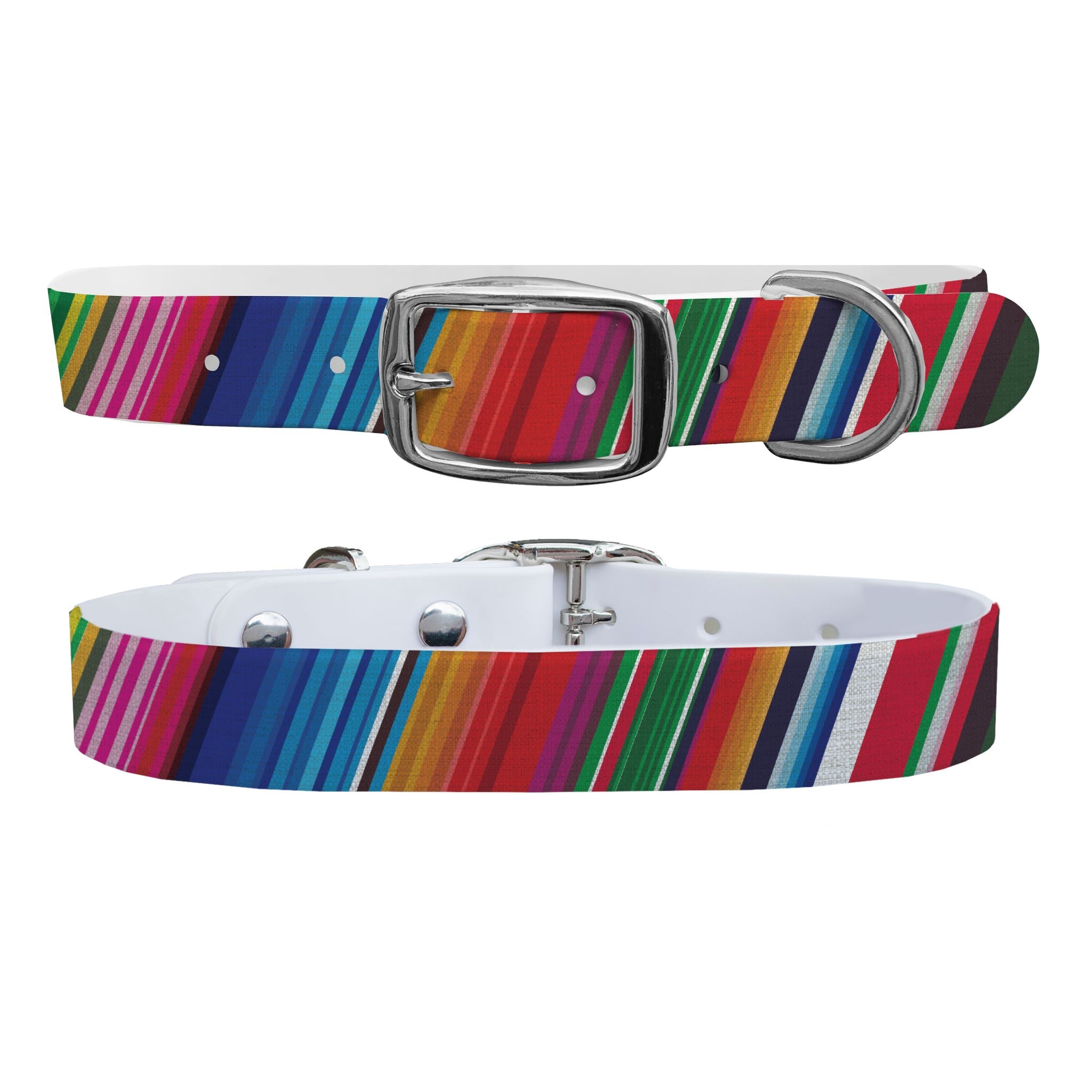 Technicolor Dog Collar Dog Collar C4 BELTS