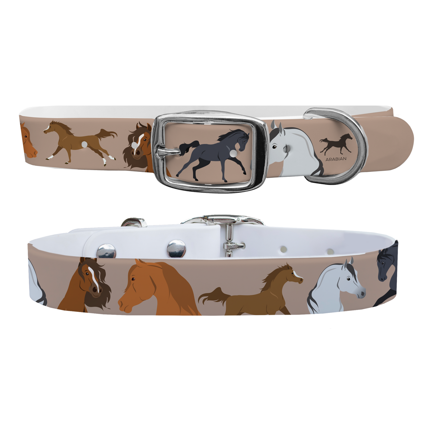 Arabian Dog Collar