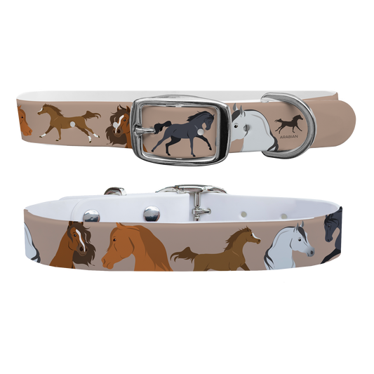 Arabian Dog Collar