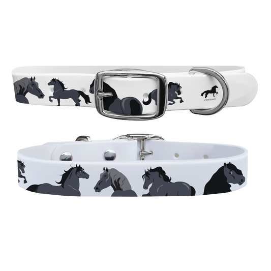 Friesian Dog Collar