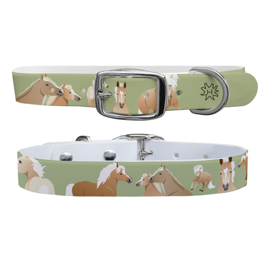 Haflinger Dog Collar
