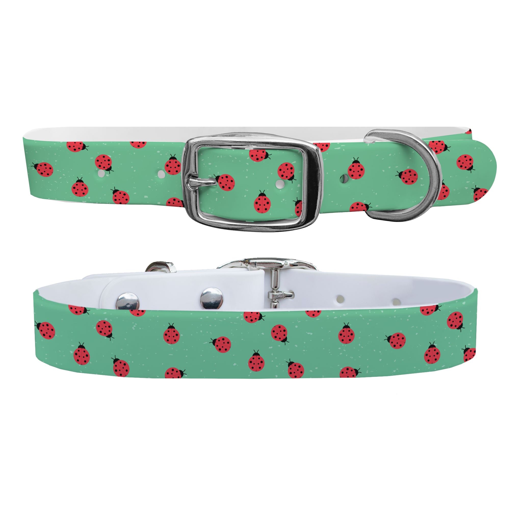 Ladybugs Dog Collar Dog Collar C4 BELTS