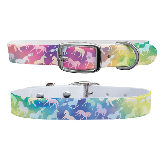 Rainbow Pony Dog Collar Dog Collar C4 BELTS