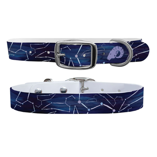 Aries Dog Collar Dog Collar C4 BELTS