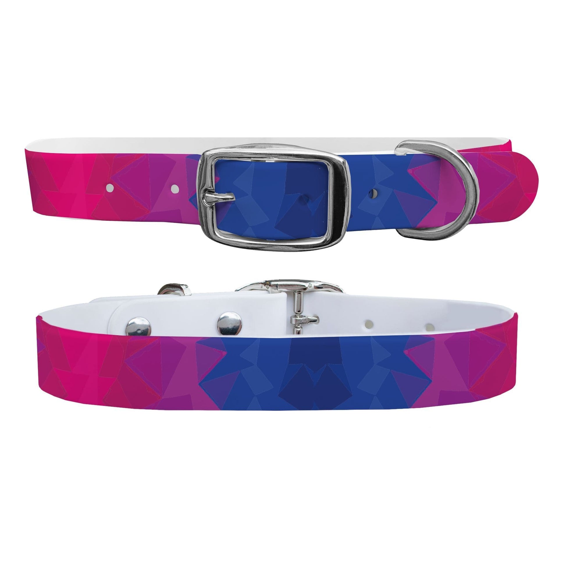 Bi Flag Kaleidoscope Dog Collar Dog Collar C4 BELTS