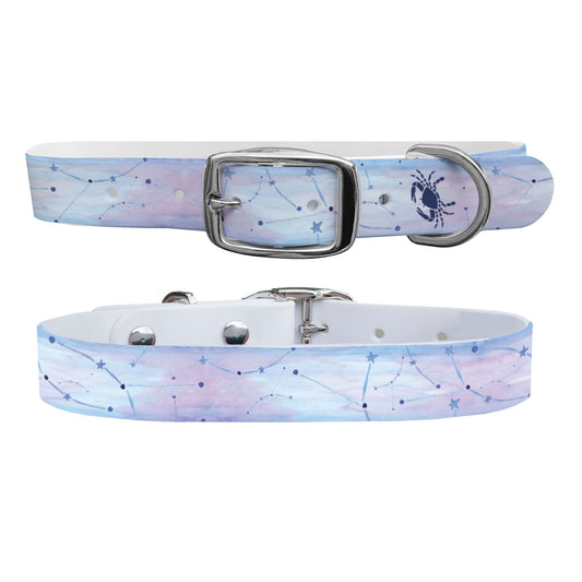 Cancer Dog Collar Dog Collar C4 BELTS