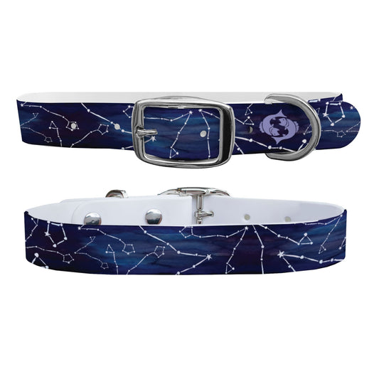 Pisces Dog Collar Dog Collar C4 BELTS