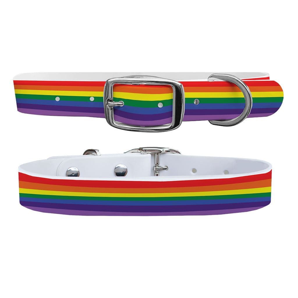 Rainbow Dog Collar Dog Collar C4 BELTS
