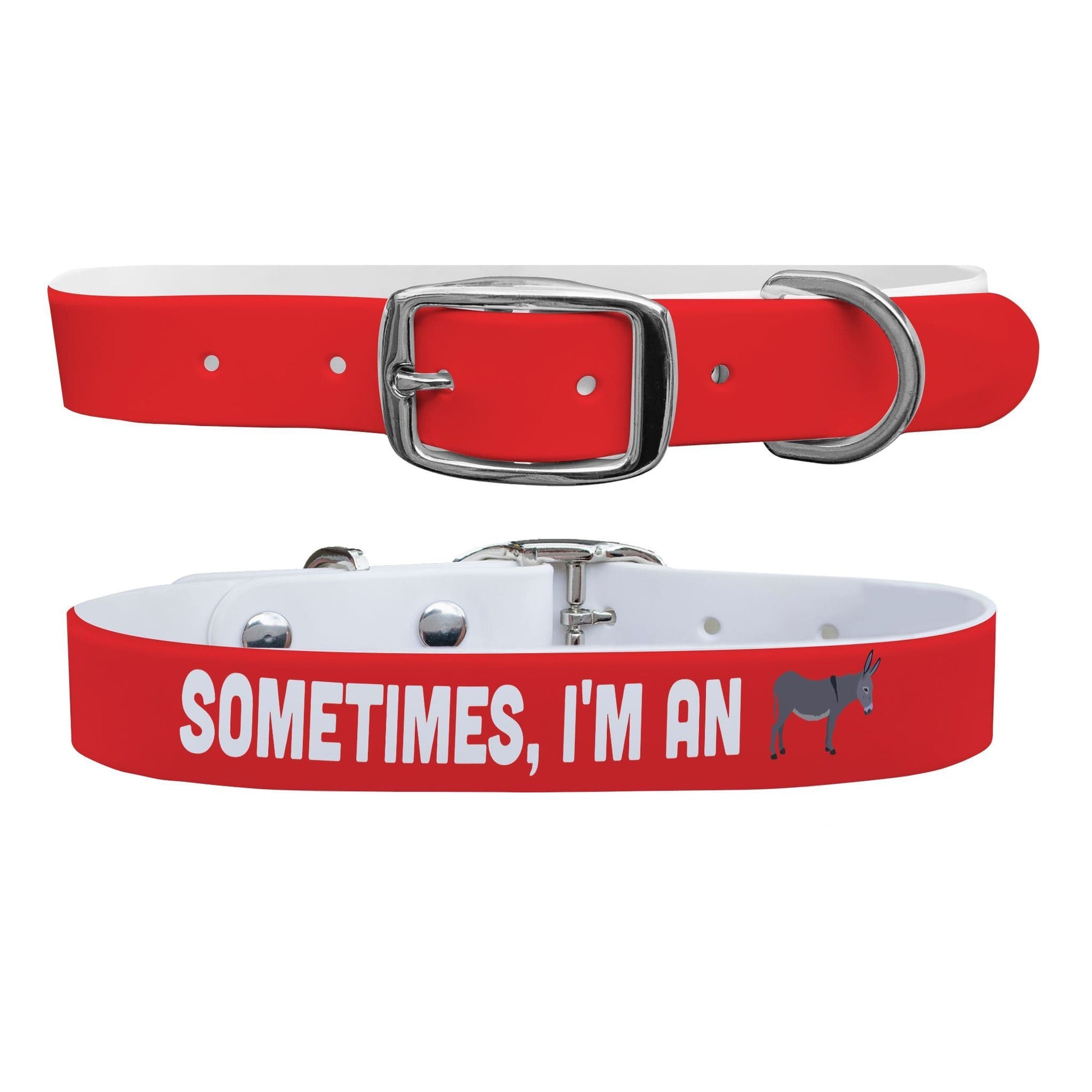 Sometimes I'm an A** Dog Collar Dog Collar C4 BELTS
