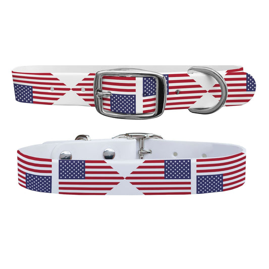 All American Dog Collar Dog Collar C4 BELTS