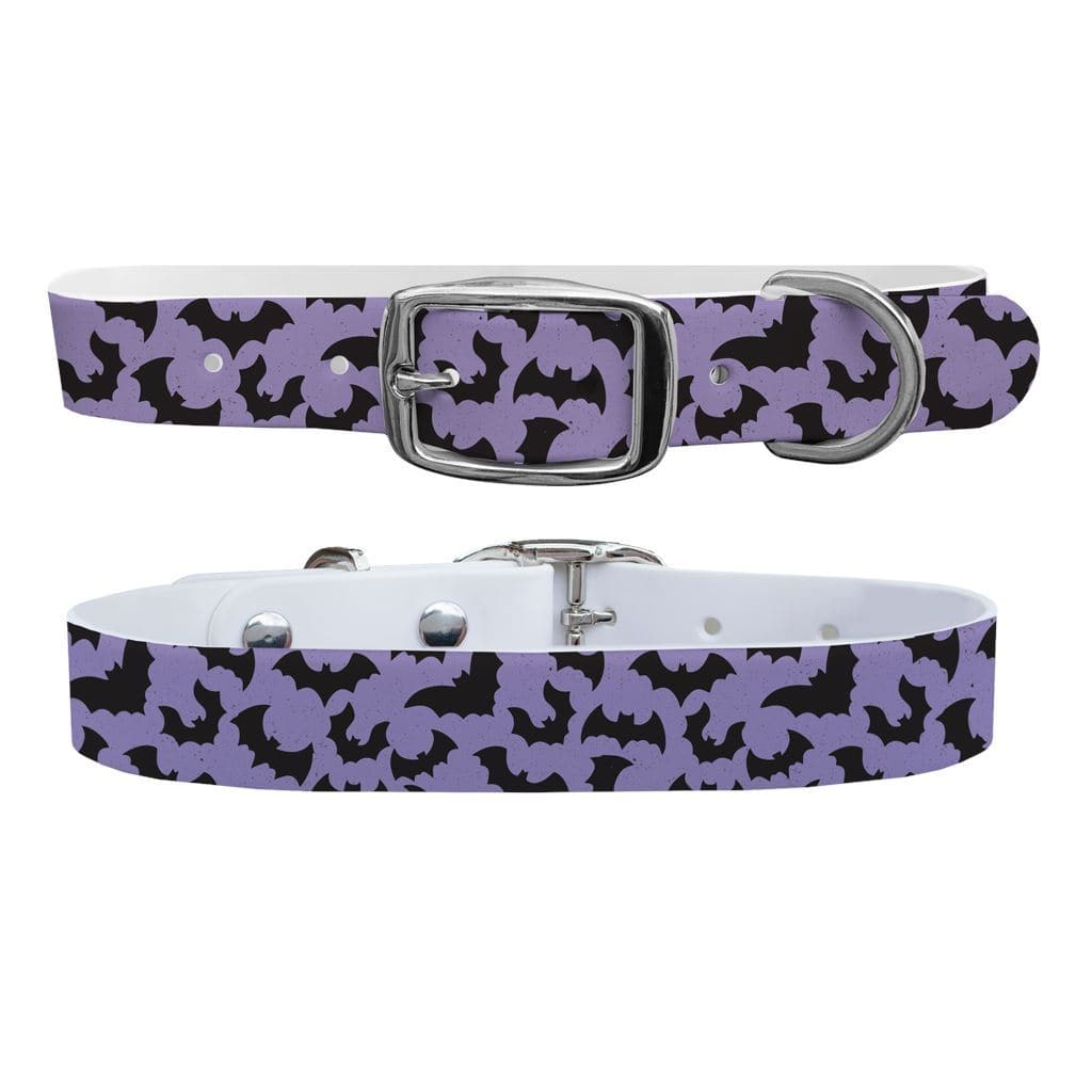 Batty Dog Collar Dog Collar C4 BELTS