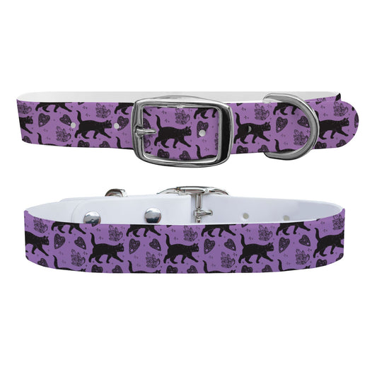Black Cat Crossing Dog Collar Dog Collar C4 BELTS