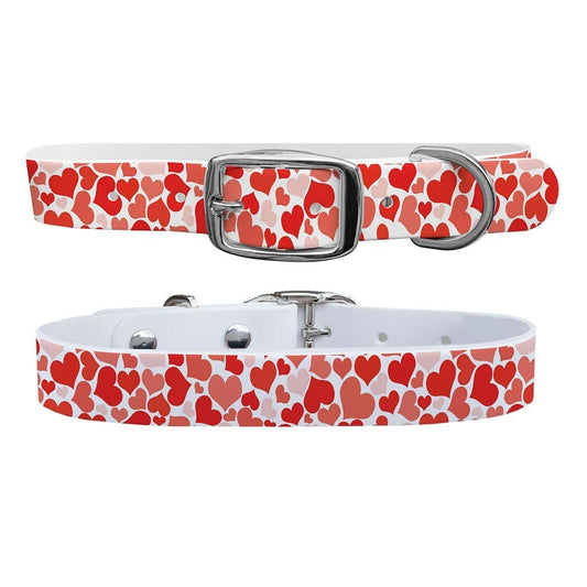 Hearts Dog Collar Dog Collar C4 BELTS