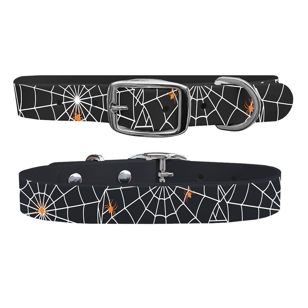 Spiderwebs Dog Collar Dog Collar C4 BELTS