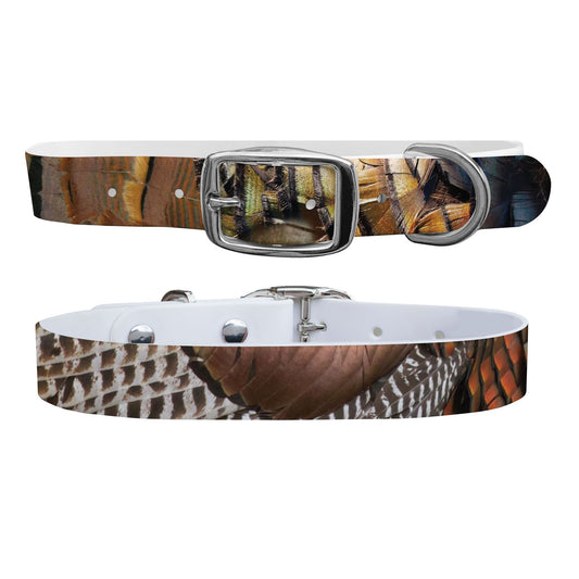 The Gobbler Dog Collar Dog Collar C4 BELTS