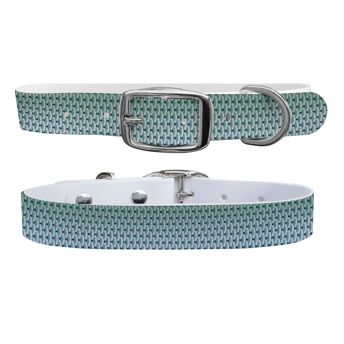 King Scales Dog Collar Dog Collar C4 BELTS