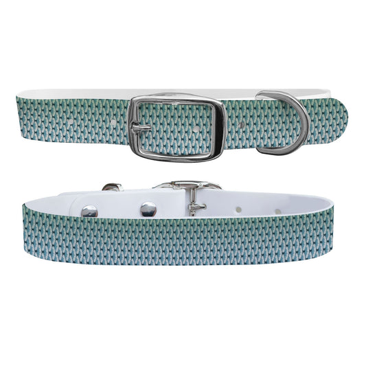 King Scales Dog Collar Dog Collar C4 BELTS