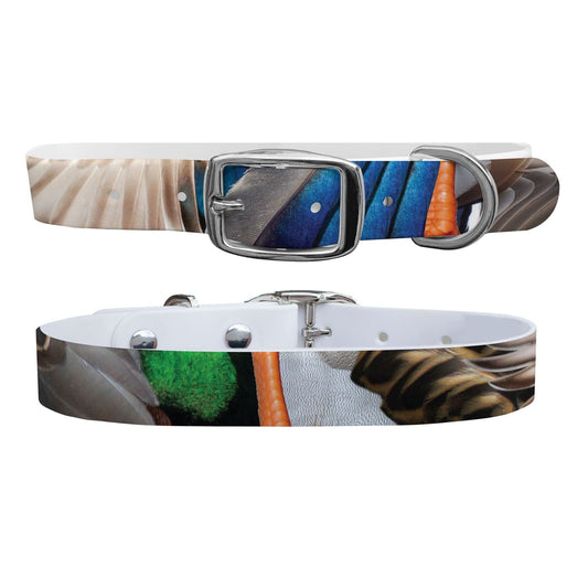 Mallard Dog Collar Dog Collar C4 BELTS